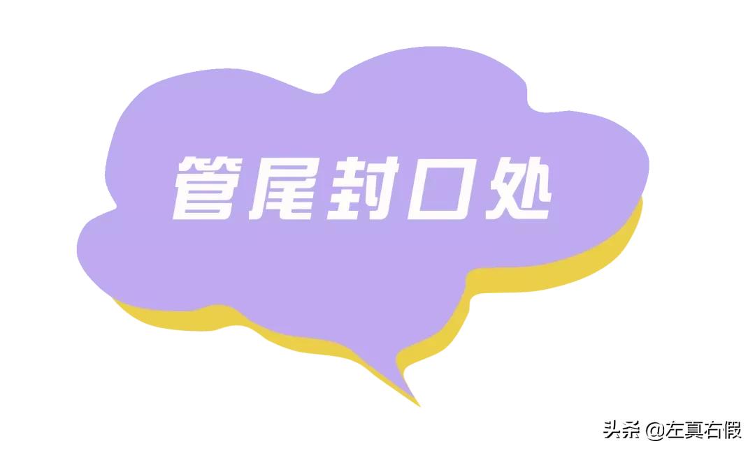 欧舒丹乳木果身体乳真假,欧舒丹护手霜乳木果30ml