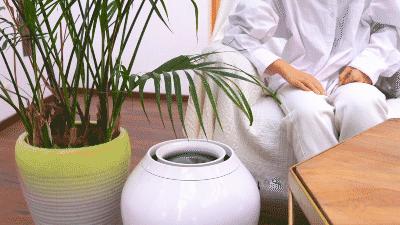 巴慕达rain加湿器,巴慕达Rain加湿器功能讲解