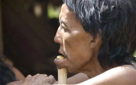 下巴上插木棍的原始部落,下巴插木棍的原始部落