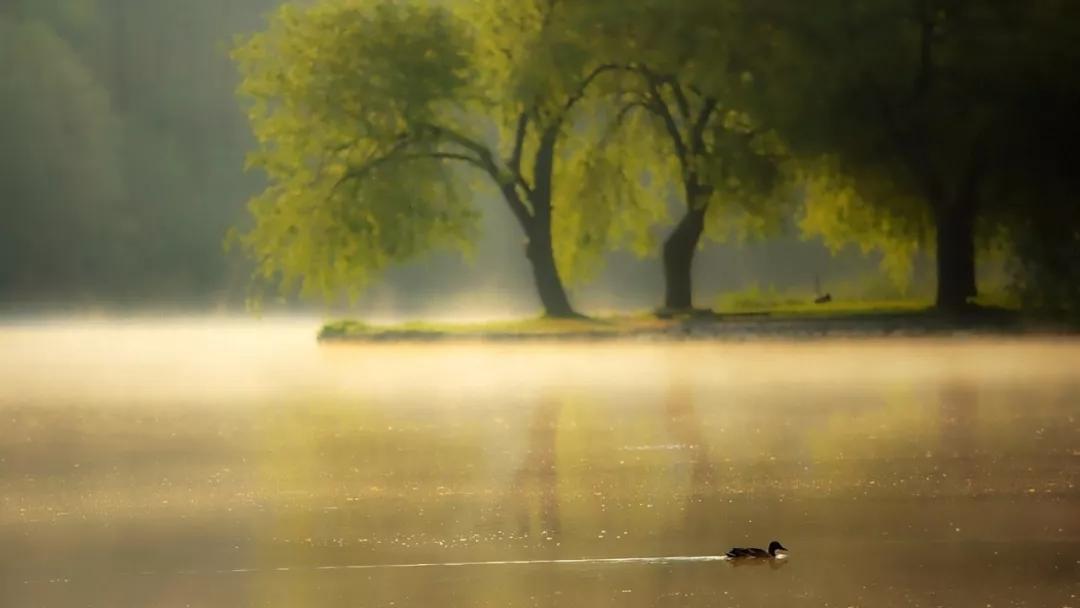 阳历阴历农历三者的关系,农历生日是阴历还是阳历