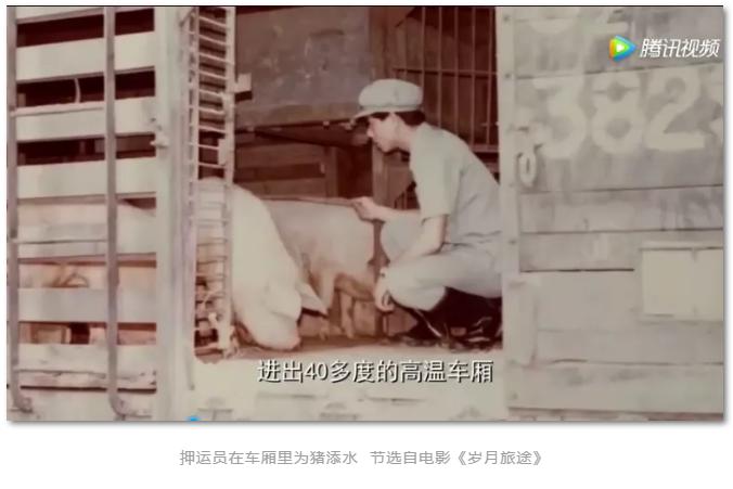 三趟快车|不为人知的“赶车人”(二)