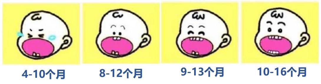 关于宝宝出牙如何护理,宝宝牙齿出牙后怎么护理