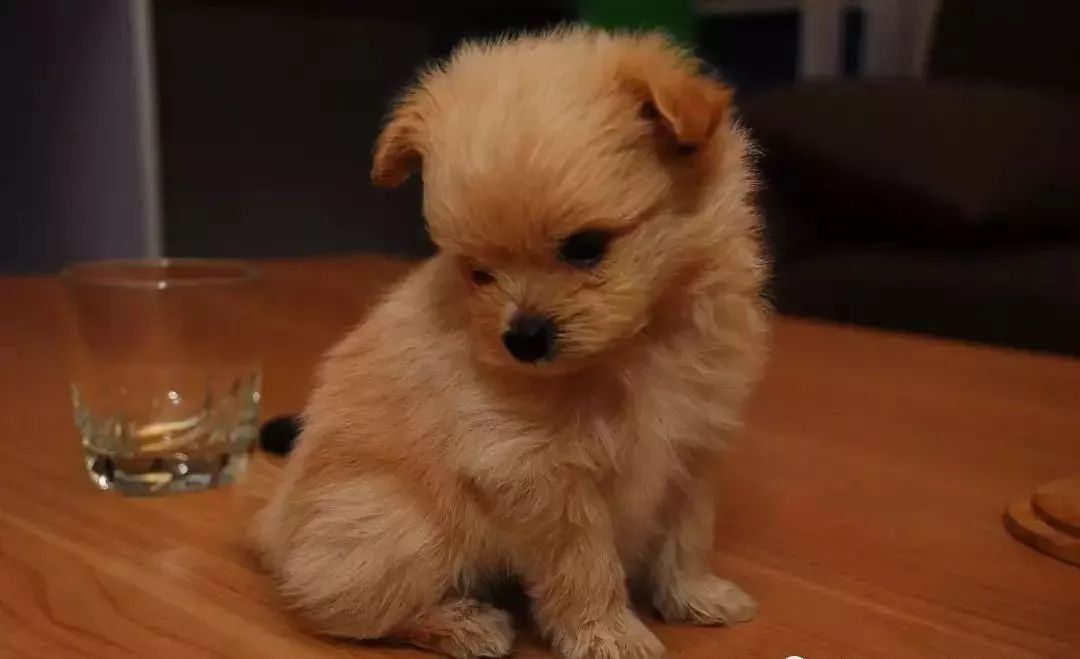 警惕八大陷阱,警惕各种骗局都有哪些