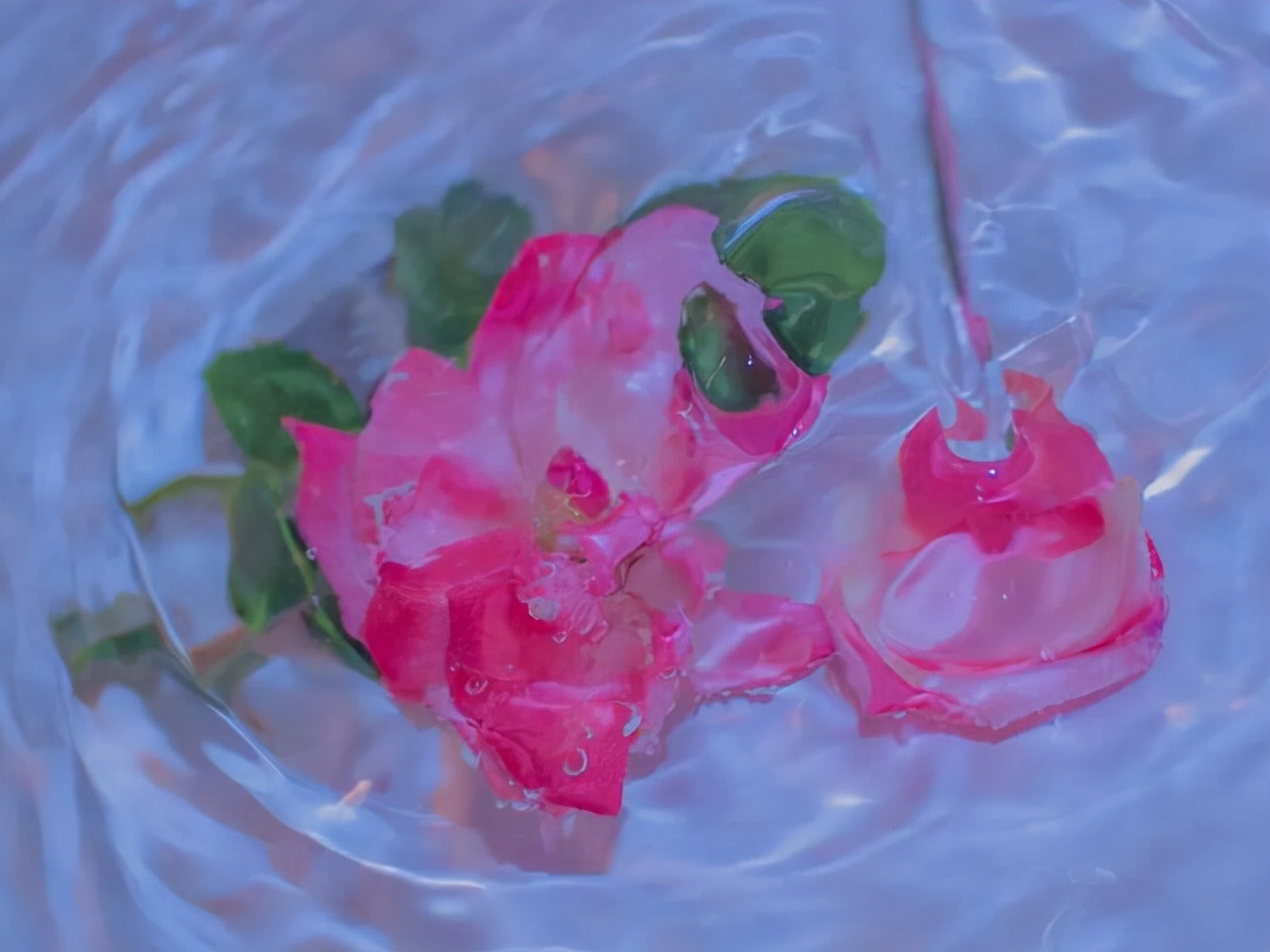 天秤座是一个最容易记仇反击的人,天秤座确实有着暴躁的一面