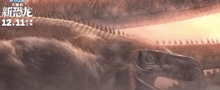 你好，请收下这份12月看片不踩雷指南