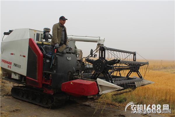 洋马收割机怎么跨省作业,洋马跨区联合收割机