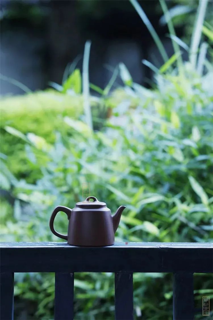 观|《衡天》施小马