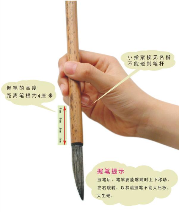 毛笔书法握笔姿势教学视频,毛笔的握笔姿势视频免费观看