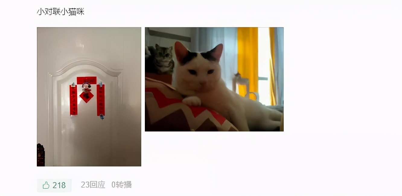 本地没有盒马山姆怎么买,盒马哪些地方比山姆好