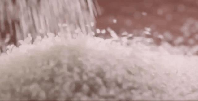 顺德人到底是有多会吃,顺德人对吃的究竟有多讲究