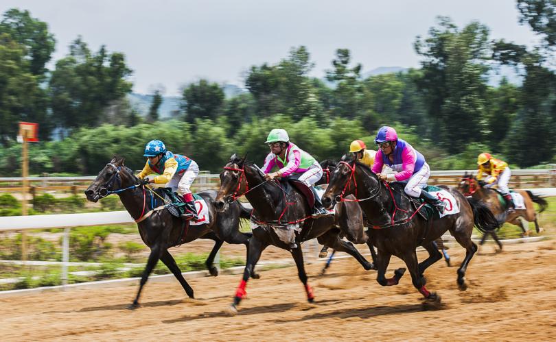 踏马滇池?百万名马乘骑等你来体验