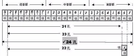 十分钟教你学会家常菜,十分钟教你学会口琴