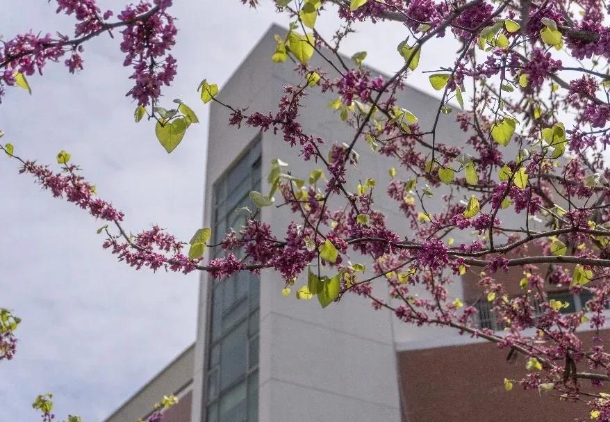 安徽省高校合肥理工,安徽省二类本科公办大学