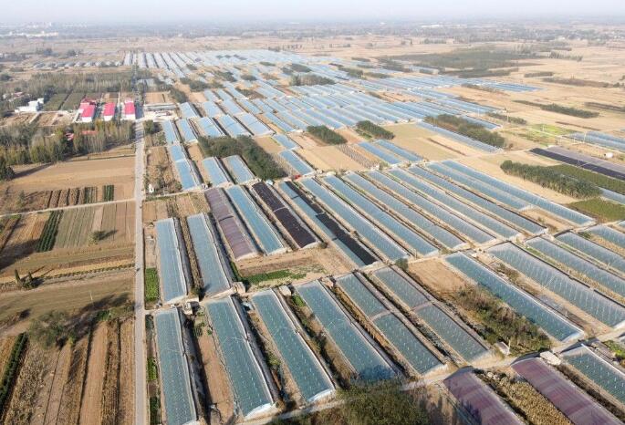 高端媒体看磁县,高端媒体看邢台新华社