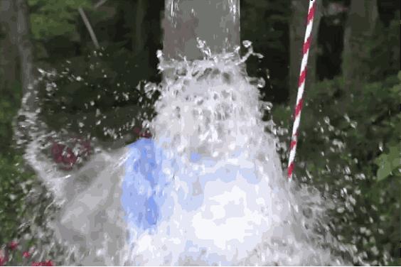 philipcolbert阿迪达斯贝壳头,阿迪贝壳头50周年纪念