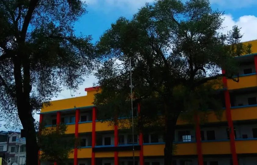 这个夏天非同寻常作文600字,关于夏季的原创散文