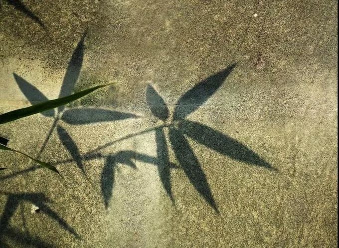 玉人何处教吹笙,玉人何处教吹箫什么梗