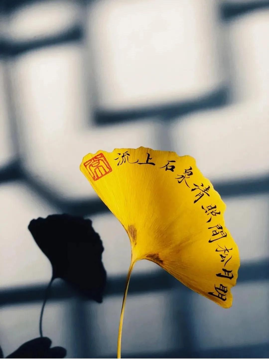 银杏树叶如何做玫瑰花,银杏叶如何制作玫瑰花