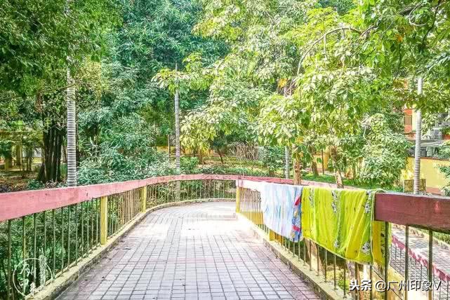 遇到老实人就嫁了吧,遇到贵州人你就嫁了吧