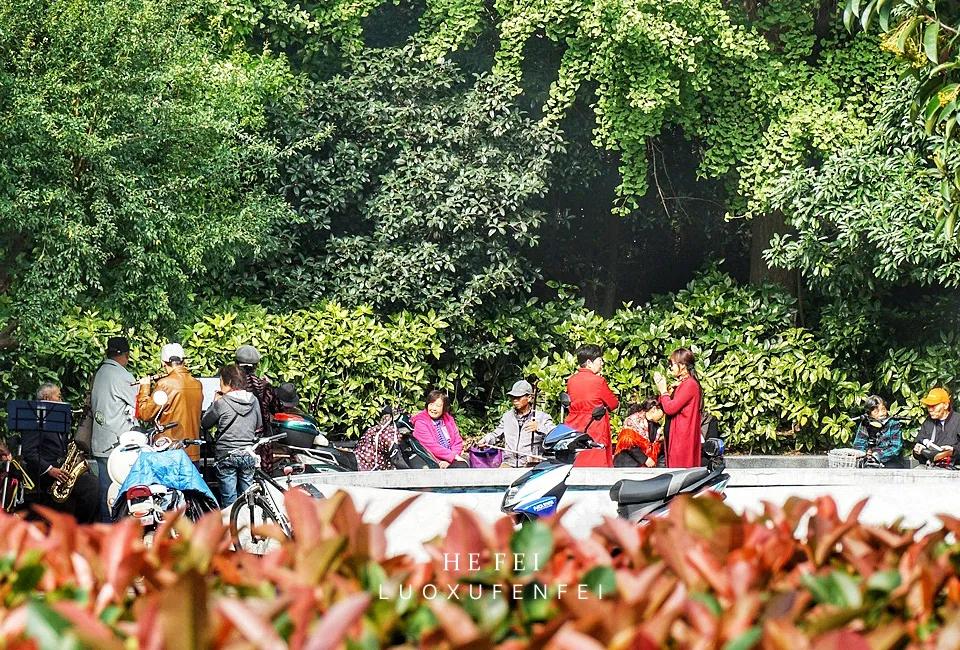 科学家摇篮哈工大,中科大科学家的摇篮