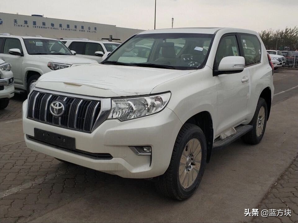 普拉多耍帅视频,普拉多卖萌