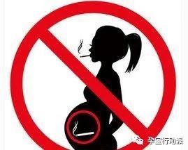 孕期记录十月,宝妈孕周刊