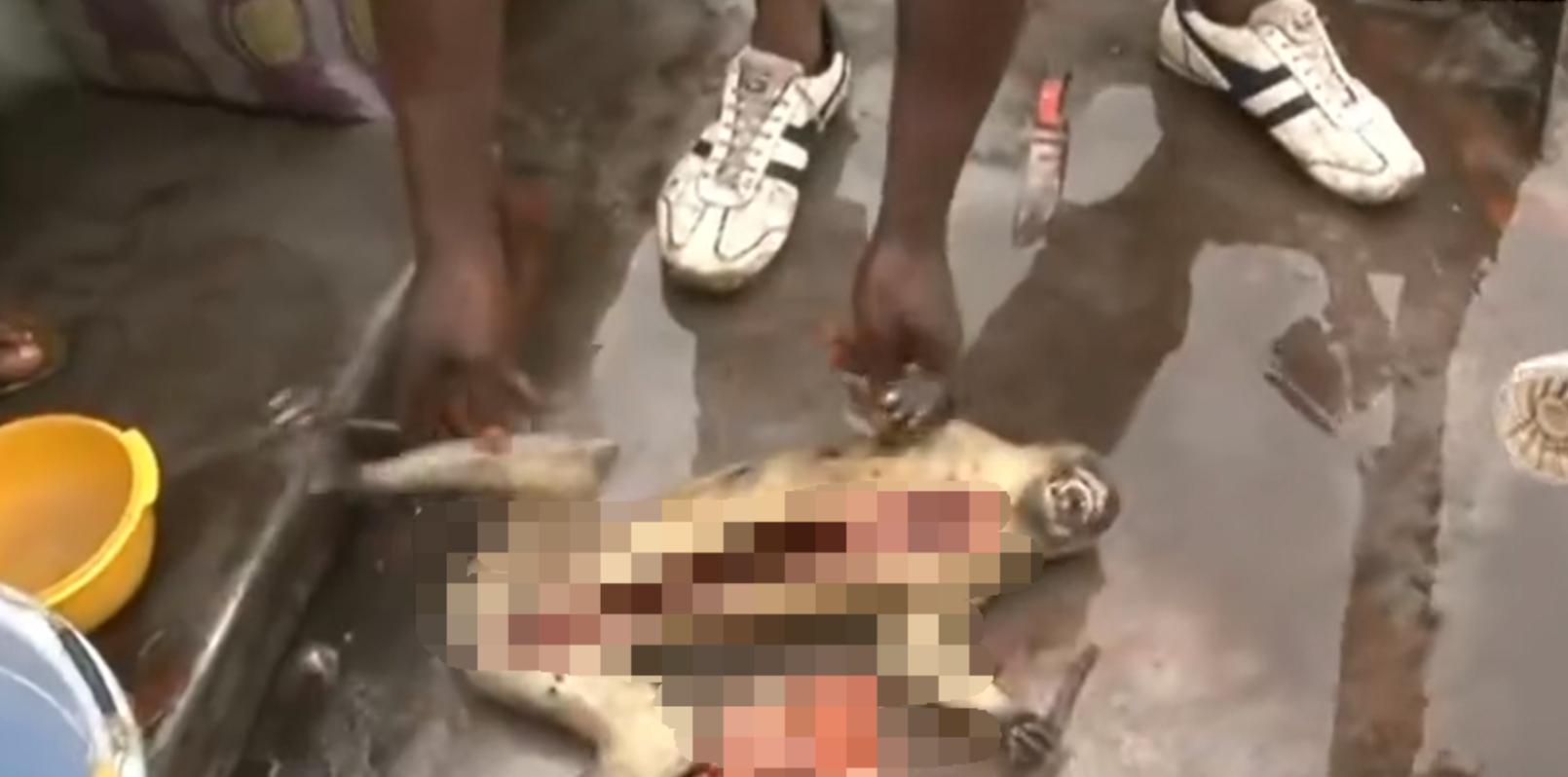 非洲货船严重超载，1700人挤在上面没有厕所，晚上开船用手电照明