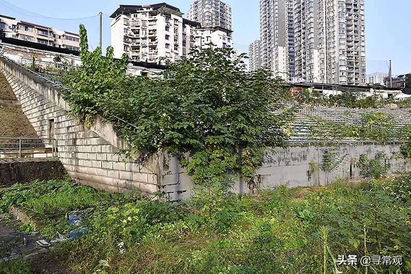 重庆力帆足球最近的消息,重庆力帆足球俱乐部现状