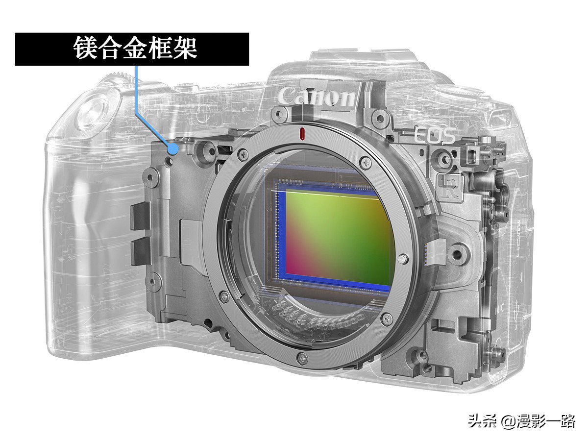 佳能全幅微单eosr可以拍鸟吗,佳能全画幅eosrp