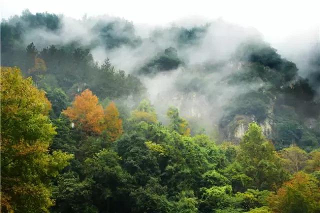 瑞安旅游全攻略,瑞安旅游攻略推荐