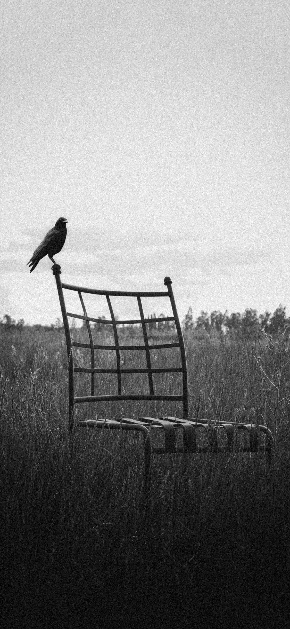 今日超好看质感壁纸（1080x1920）,1125x2436两种分辨率