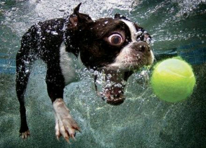 做球又简单又好看,会做球的人