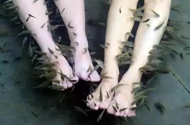 鑻忓窞涔﹂涓栧娓╂硥搴﹀亣閰掑簵鍥㈣喘,鑻忓窞涔﹂涓栧鏍戝北娓╂硥闂ㄧエ