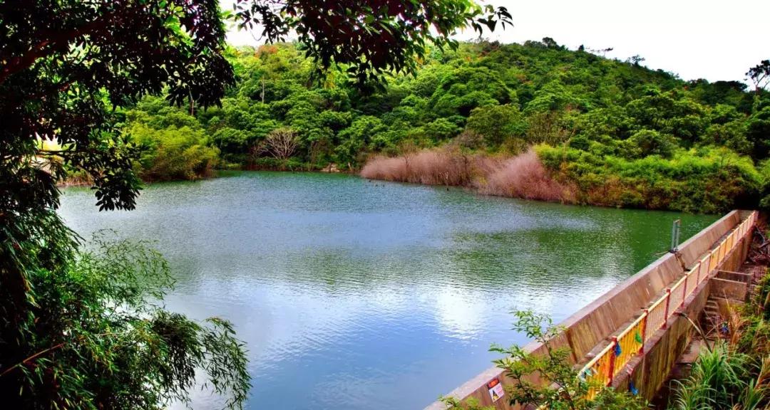 公告：第五届观音山杯恭请观音归南海全球辞赋大赛结果