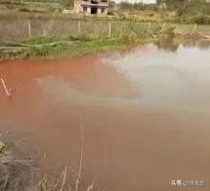 地下水养殖方法和注意事项,山泉水最好养殖方法