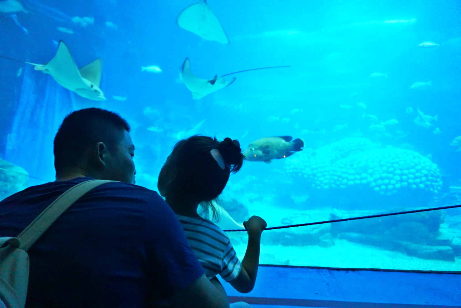 常州恐龙园和珠海长隆哪个好玩,珠海长隆海洋王国好玩吗