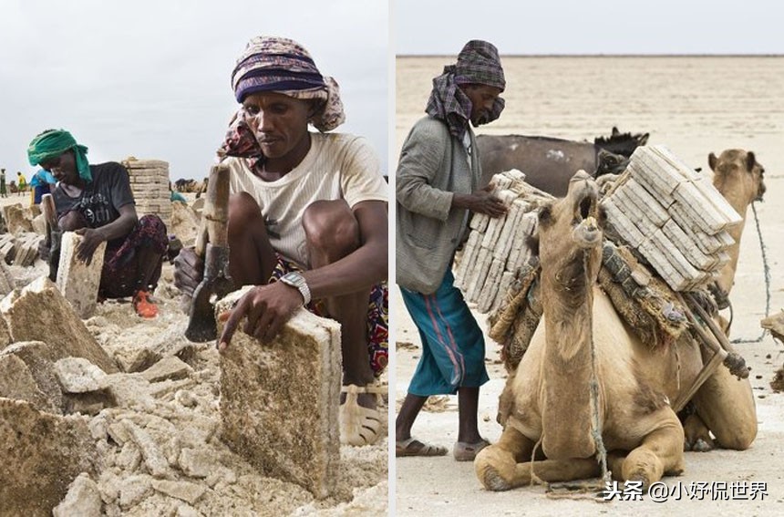 这份工作对我来说非常具有挑战性,挑战性高的工作