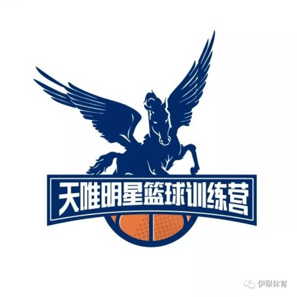 幼儿篮球3-6岁启蒙热身活动,幼儿园小孩篮球训练内容