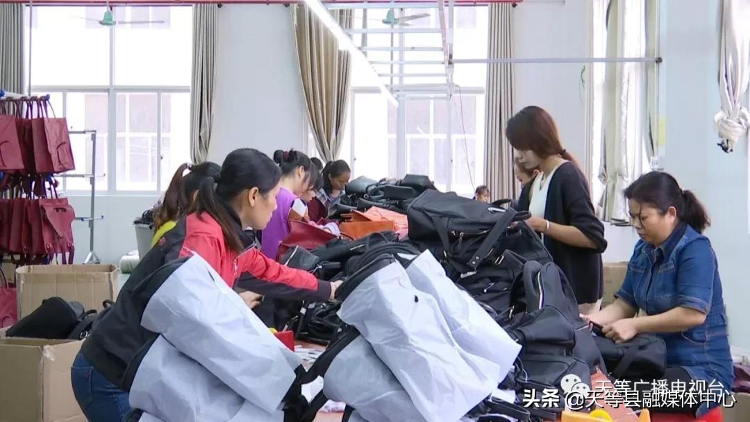 天等桥芬迪皮具有限公司：稳就业、惠民生、促发展