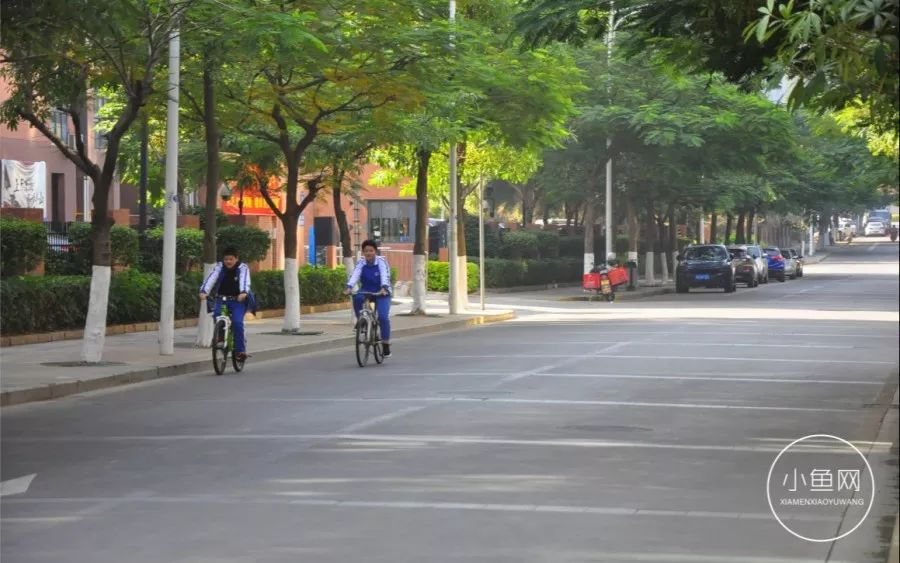 鬼城or未来可期？我们走进漳州港，发现“接盘侠”的各种悲喜交加
