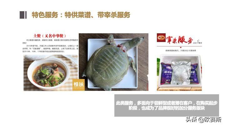 欧赛斯带你全方位洞察甲鱼市场发展趋势及竞争格局