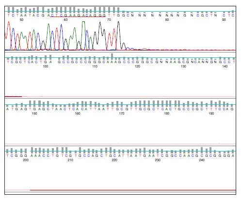金唯智新型技术测通AAV-ITR区域，解决基因疗法痛点