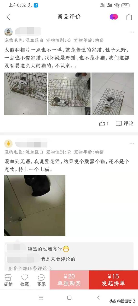 从宠物盲盒到在线“拼猫”,这些宠物商家有多损?