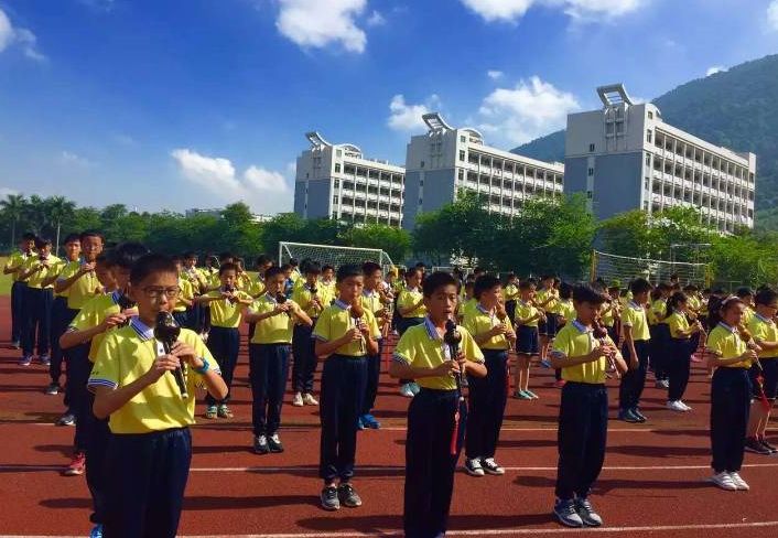 肇庆端州入读小学条件,肇庆宣卿中学要什么条件才能入读