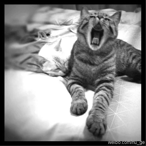 胡歌彭于晏和我,胡歌我和我的父辈