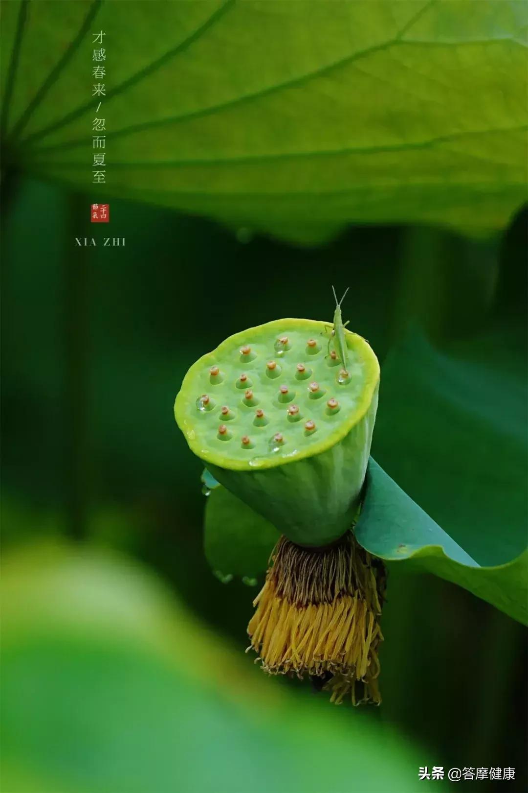 失眠不想吃安眠药怎么治,失眠不想吃饭吃什么药好