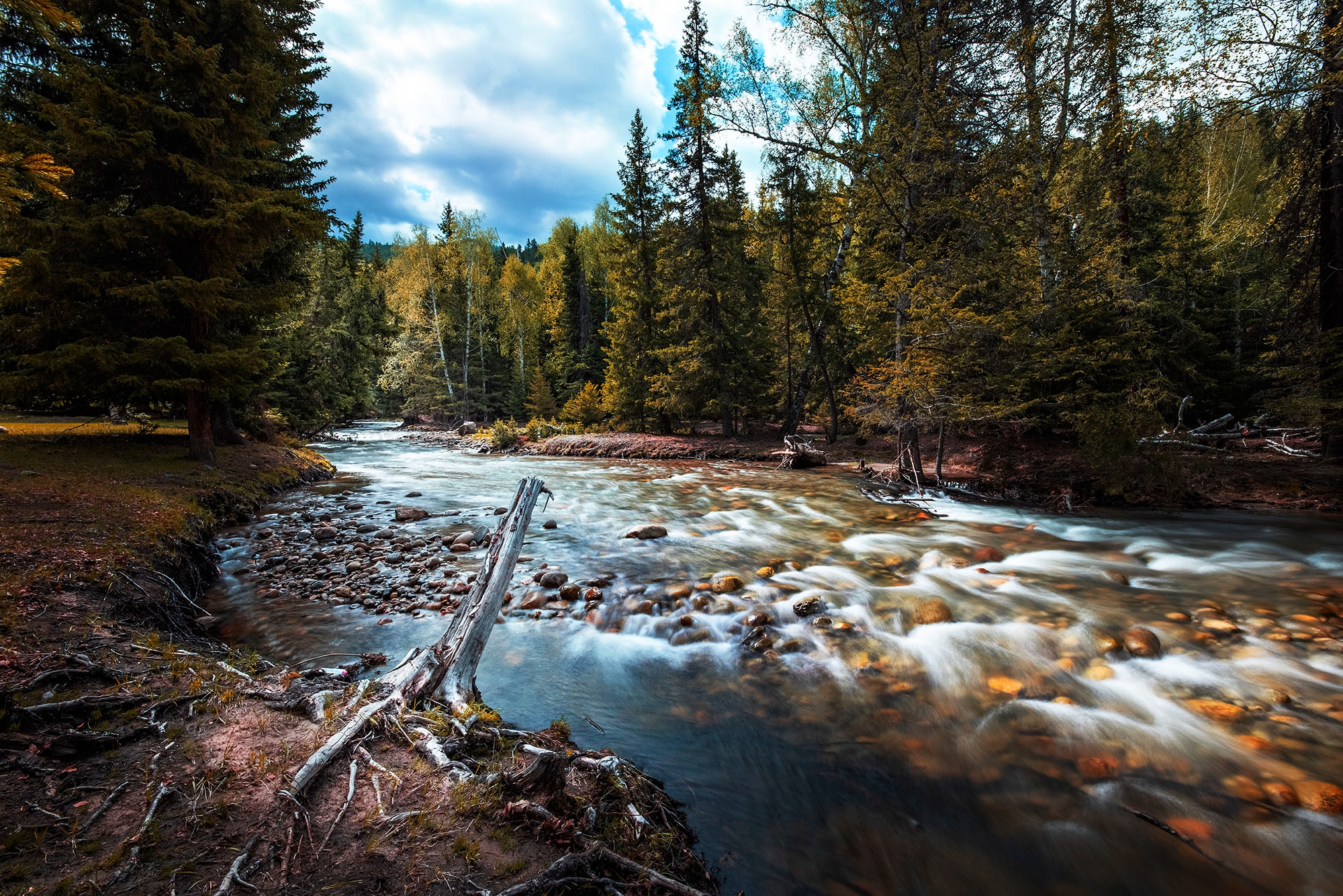 eosr5适合风光摄影吗,eosr和r5哪个拍视频好