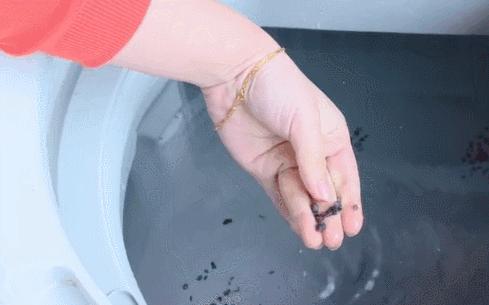 衣服掉毛絮严重怎么处理,洗好的衣服上沾的毛毛怎么办