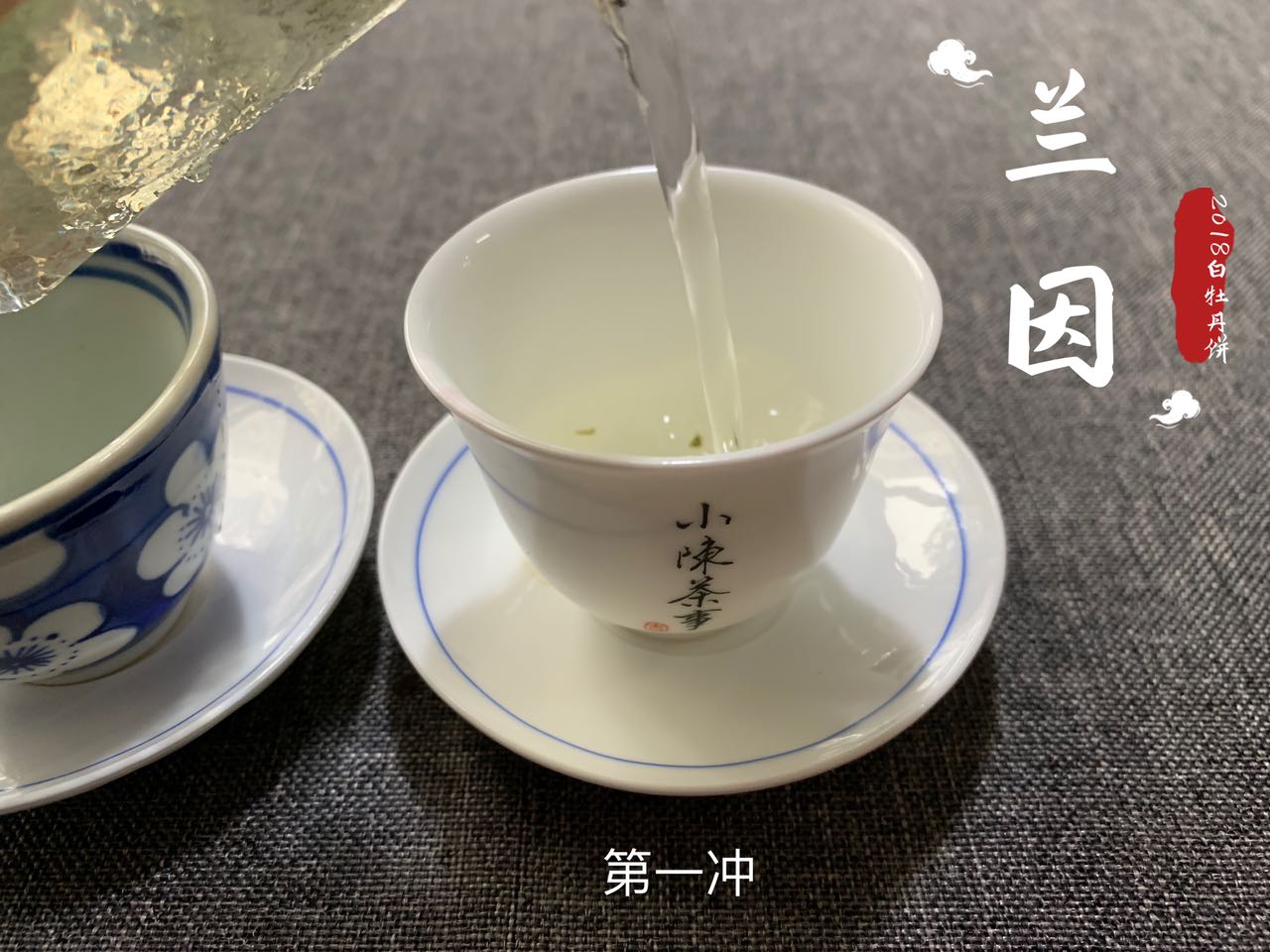 三分钟解读新白茶和老白茶的区别,白茶老白茶怎么选