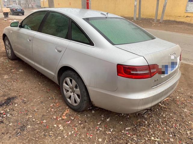 养殖场的猪全部死完了,养殖场猪瘟死亡人数